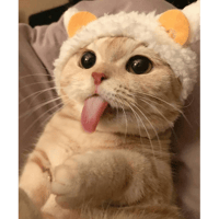 sticker image #5