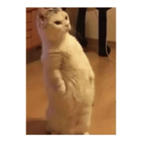 sticker image #18
