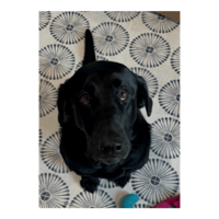 sticker image #4