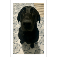 sticker image #5