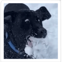 sticker image #12