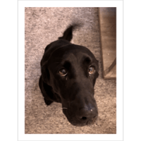 sticker image #30