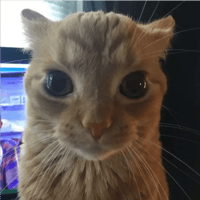 sticker image #16