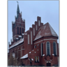 tray_icon #126422 sticker_pack