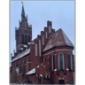 tray_icon