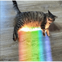 sticker image #10