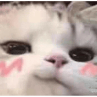 sticker image #1