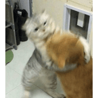 sticker image #12