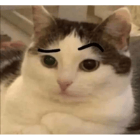sticker image #3