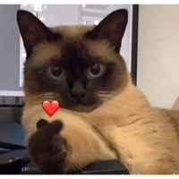 sticker image #8