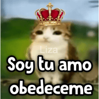 sticker image #15