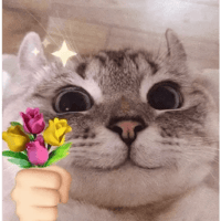 sticker image #12