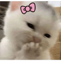 sticker image #13