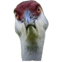 sticker image #12