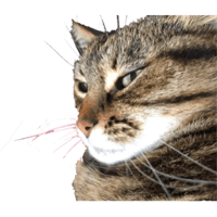 sticker image #2