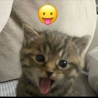 sticker image #3