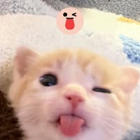 sticker image #8