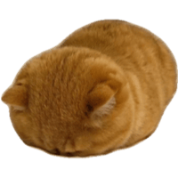 sticker image #10