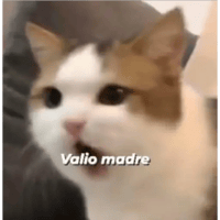 sticker image #11