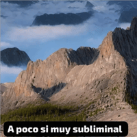 sticker image #12