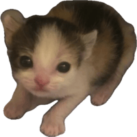 sticker image #15