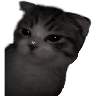 tray_icon