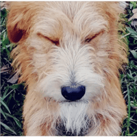 sticker image #8