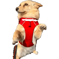 sticker image #13