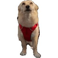sticker image #14