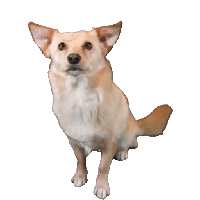 sticker image #2