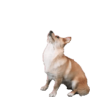 sticker image #3