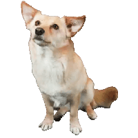 sticker image #5