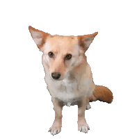 sticker image #6