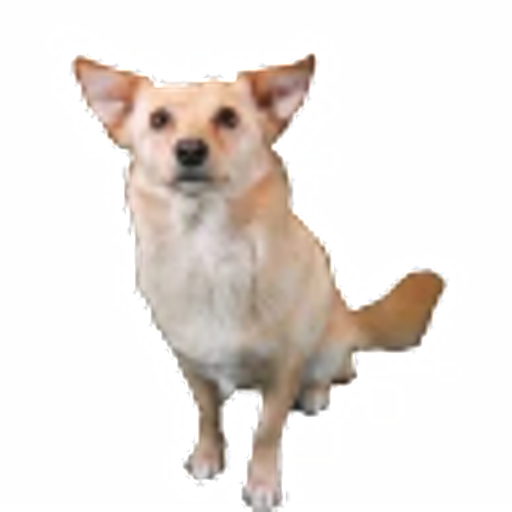 tray_icon #93606 sticker_pack