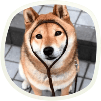 sticker image #20