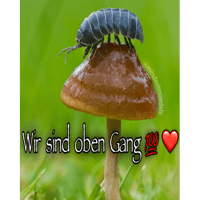 sticker image #18