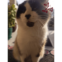 sticker image #5
