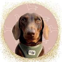 tray_icon
