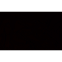 tray_icon