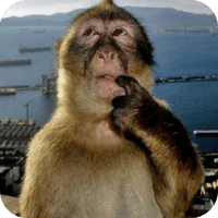 sticker image #14