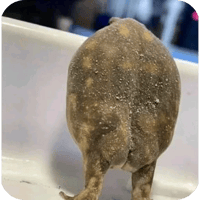 sticker image #15