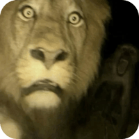 sticker image #17