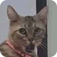 sticker image #6
