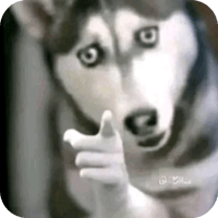 sticker image #1