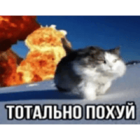 sticker image #19