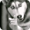 tray_icon #125925 sticker_pack