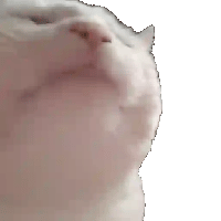 sticker image #1