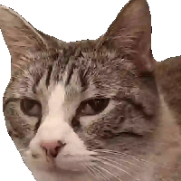 sticker image #11