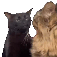 sticker image #12