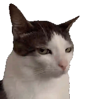 sticker image #13
